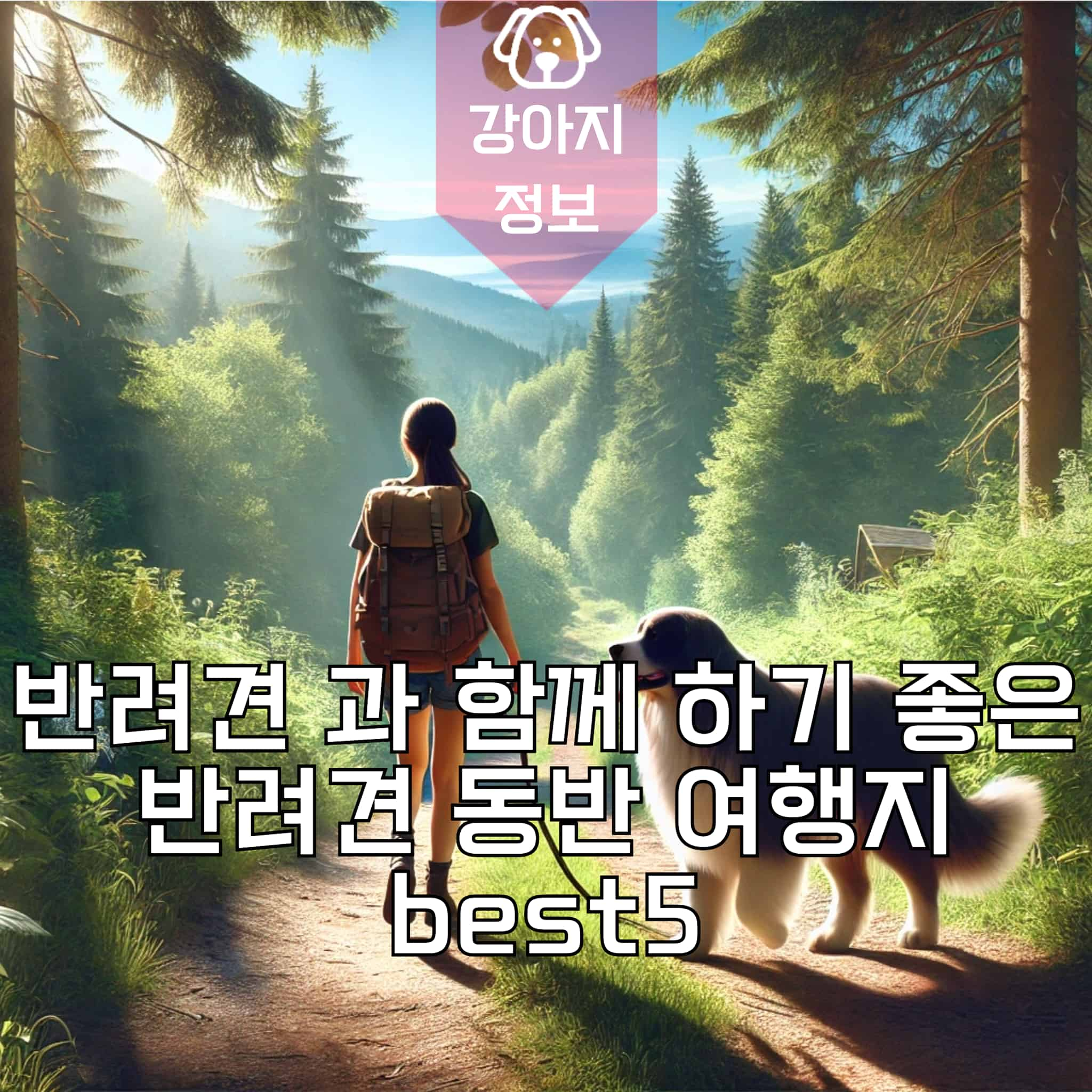 반려견 과 함께 하기 좋은 반려견 동반 여행지 best5