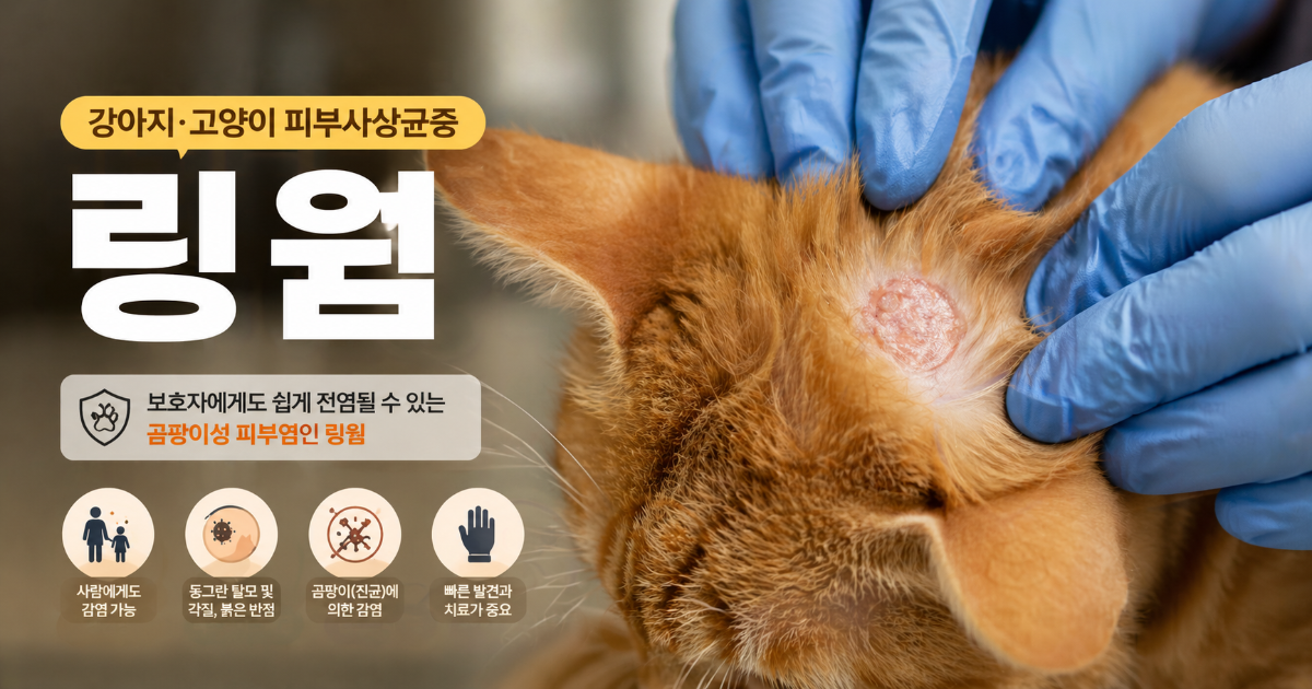 ringworm-in-pets 강아지 고양이 피부사상균증 링웜