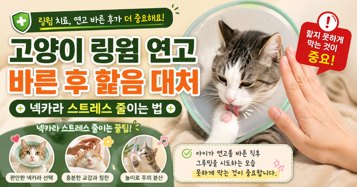 고양이 링웜 연고