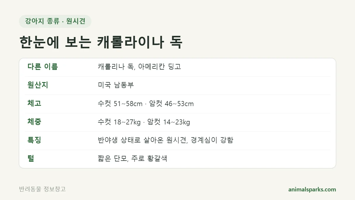 캐롤라이나 독 원산지·체고·체중 한눈에 보기