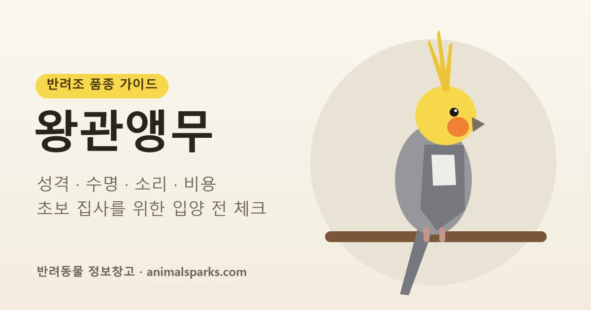 왕관앵무 품종 가이드 대표 이미지 - 회색 몸통에 노란 얼굴과 주황 볼을 가진 앵무새