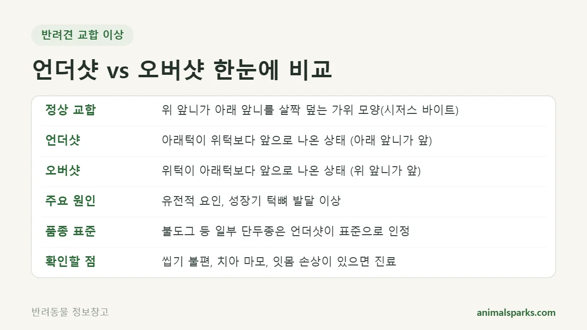 반려견 언더샷과 오버샷 교합 차이 비교