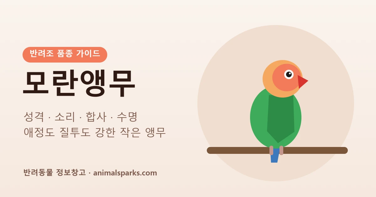 모란앵무 품종 가이드 대표 이미지 - 초록 몸통에 복숭아빛 얼굴을 가진 앵무새