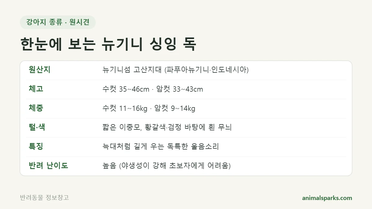뉴기니 싱잉 독 원산지·체고·체중 한눈에 보기
